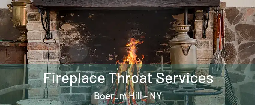 Fireplace Throat Services Boerum Hill - NY