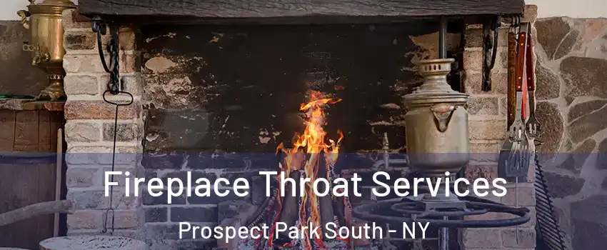 Fireplace Throat Services Prospect Park South - NY