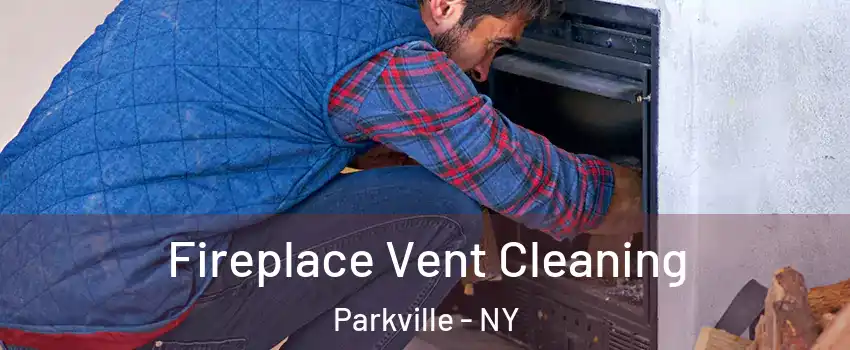 Fireplace Vent Cleaning Parkville - NY