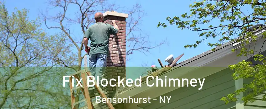 Fix Blocked Chimney Bensonhurst - NY