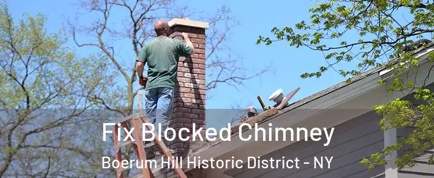 Fix Blocked Chimney Boerum Hill Historic District - NY