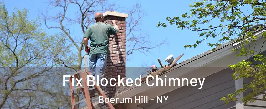 Fix Blocked Chimney Boerum Hill - NY