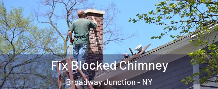 Fix Blocked Chimney Broadway Junction - NY