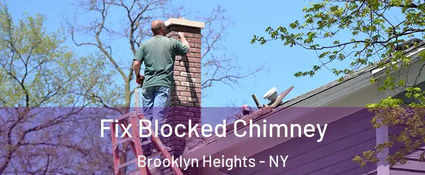 Fix Blocked Chimney Brooklyn Heights - NY