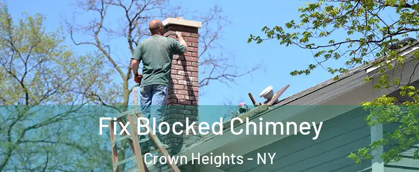 Fix Blocked Chimney Crown Heights - NY