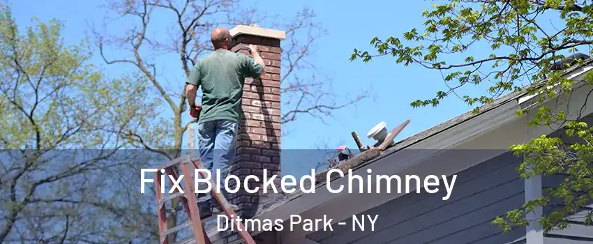 Fix Blocked Chimney Ditmas Park - NY