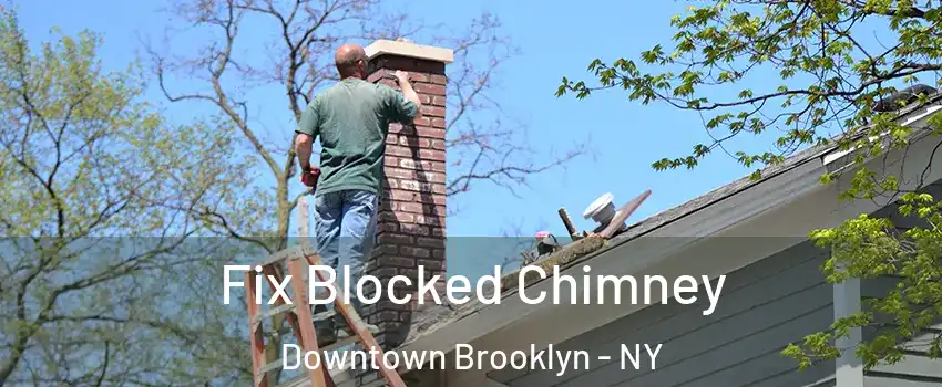 Fix Blocked Chimney Downtown Brooklyn - NY