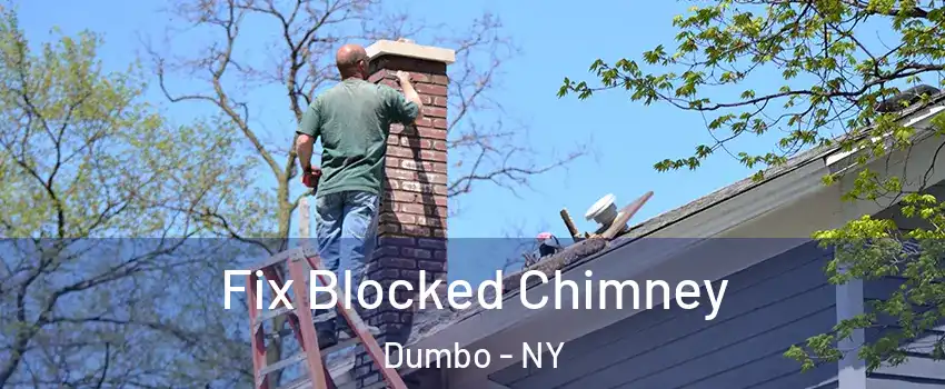 Fix Blocked Chimney Dumbo - NY