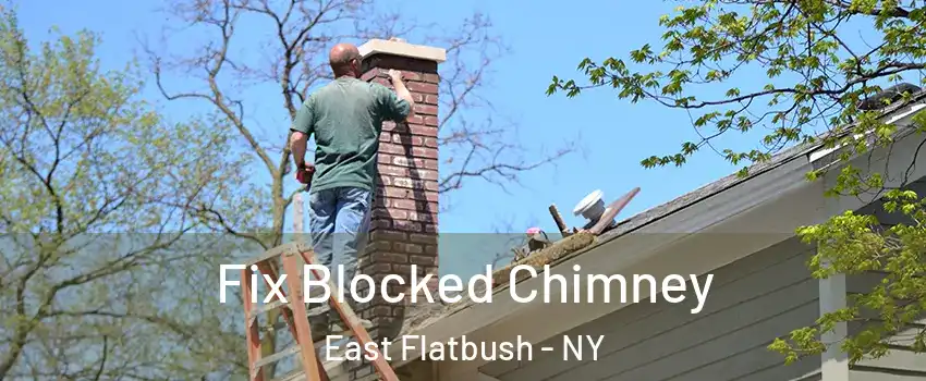 Fix Blocked Chimney East Flatbush - NY