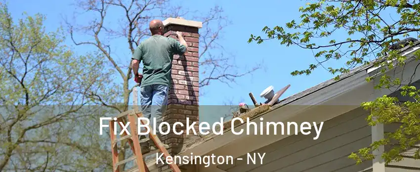 Fix Blocked Chimney Kensington - NY