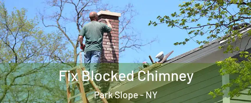 Fix Blocked Chimney Park Slope - NY