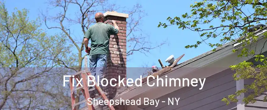 Fix Blocked Chimney Sheepshead Bay - NY