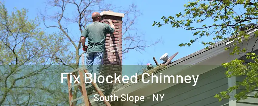 Fix Blocked Chimney South Slope - NY