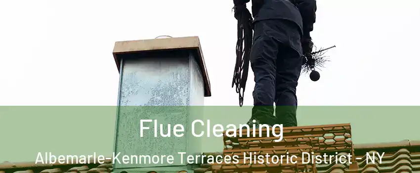 Flue Cleaning Albemarle-Kenmore Terraces Historic District - NY