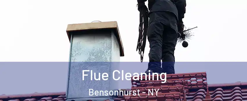 Flue Cleaning Bensonhurst - NY