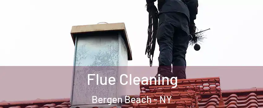 Flue Cleaning Bergen Beach - NY