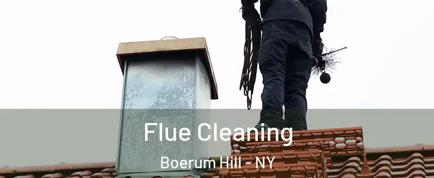 Flue Cleaning Boerum Hill - NY