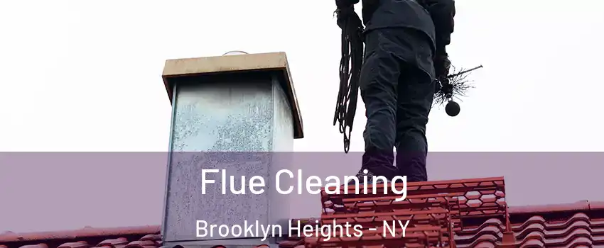 Flue Cleaning Brooklyn Heights - NY