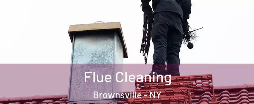 Flue Cleaning Brownsville - NY