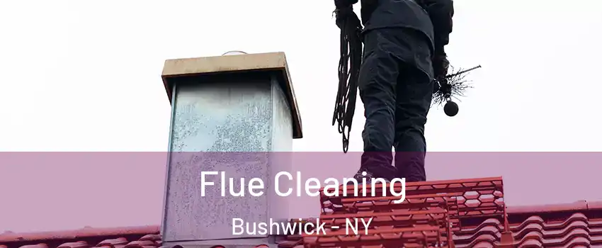 Flue Cleaning Bushwick - NY