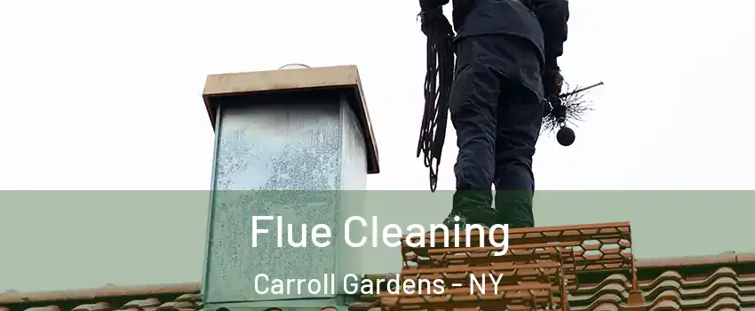 Flue Cleaning Carroll Gardens - NY