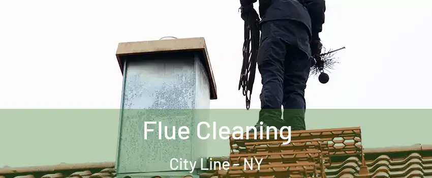 Flue Cleaning City Line - NY