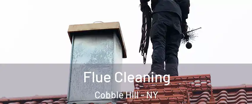 Flue Cleaning Cobble Hill - NY