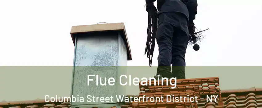 Flue Cleaning Columbia Street Waterfront District - NY