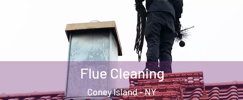 Flue Cleaning Coney Island - NY