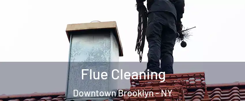 Flue Cleaning Downtown Brooklyn - NY