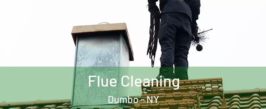 Flue Cleaning Dumbo - NY