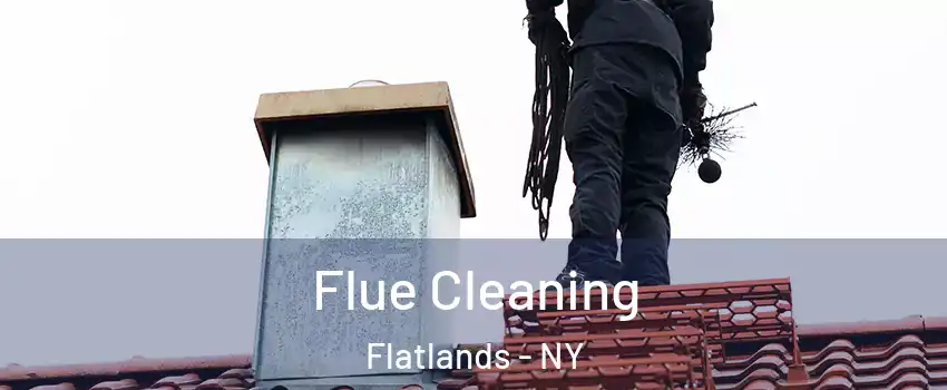 Flue Cleaning Flatlands - NY