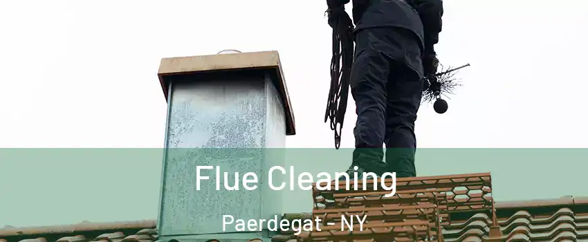 Flue Cleaning Paerdegat - NY