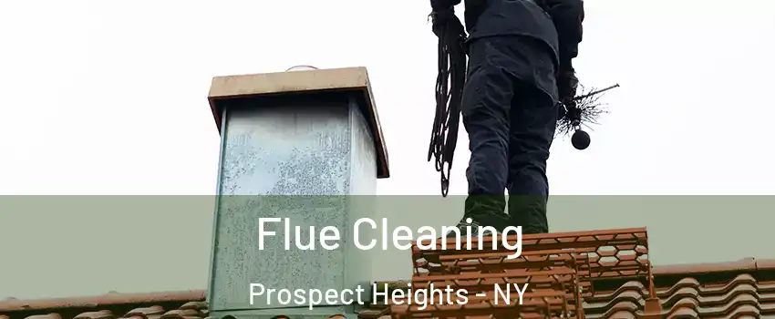 Flue Cleaning Prospect Heights - NY