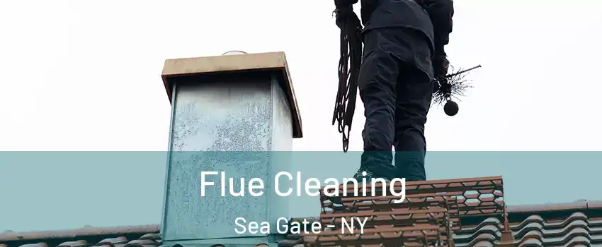 Flue Cleaning Sea Gate - NY