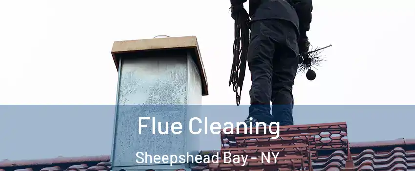 Flue Cleaning Sheepshead Bay - NY