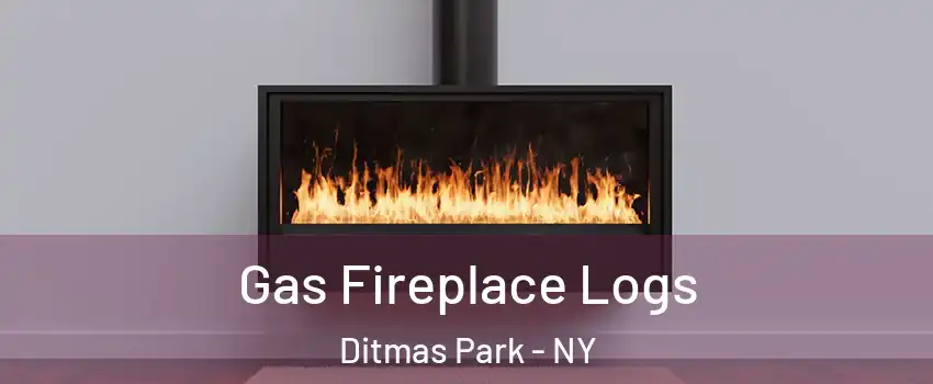 Gas Fireplace Logs Ditmas Park - NY