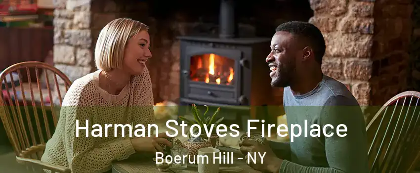 Harman Stoves Fireplace Boerum Hill - NY