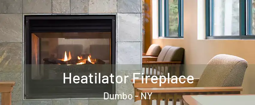 Heatilator Fireplace Dumbo - NY