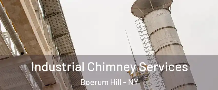 Industrial Chimney Services Boerum Hill - NY