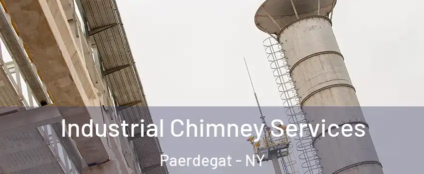 Industrial Chimney Services Paerdegat - NY