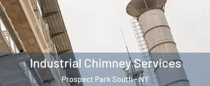 Industrial Chimney Services Prospect Park South - NY