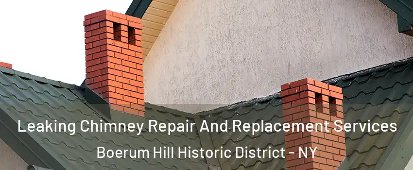 Leaking Chimney Repair And Replacement Services Boerum Hill Historic District - NY