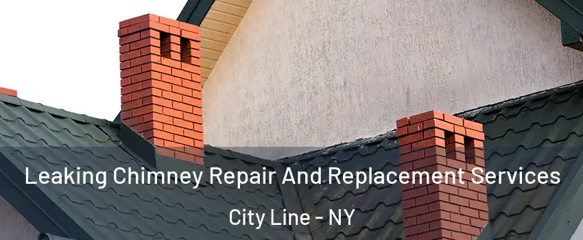 Leaking Chimney Repair And Replacement Services City Line - NY