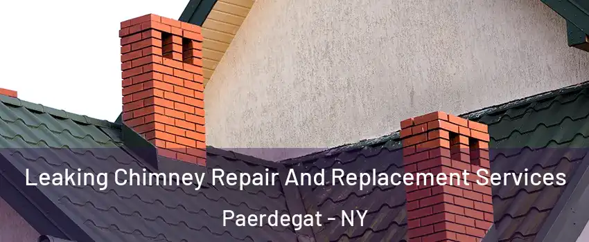 Leaking Chimney Repair And Replacement Services Paerdegat - NY