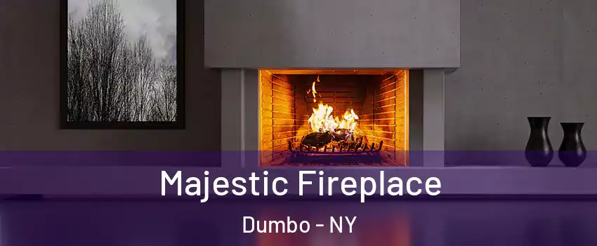 Majestic Fireplace Dumbo - NY