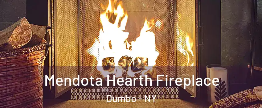 Mendota Hearth Fireplace Dumbo - NY