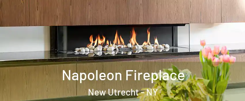 Napoleon Fireplace New Utrecht - NY