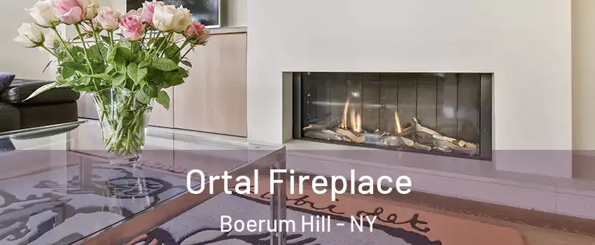 Ortal Fireplace Boerum Hill - NY