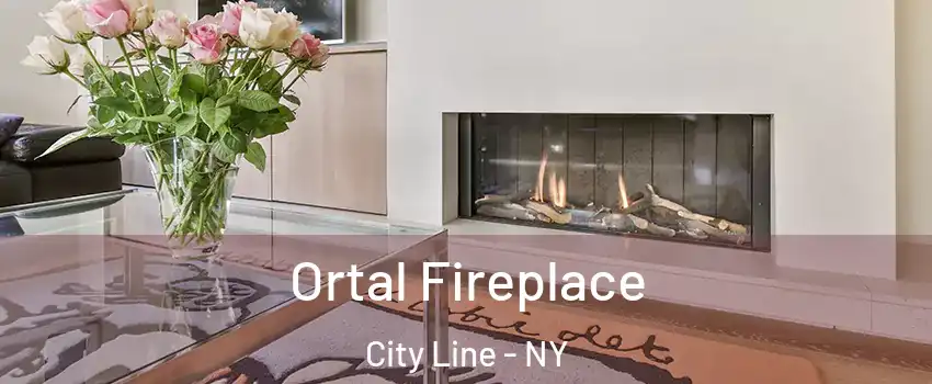 Ortal Fireplace City Line - NY